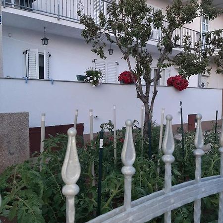 Apartment Bracic Vodice Eksteriør billede